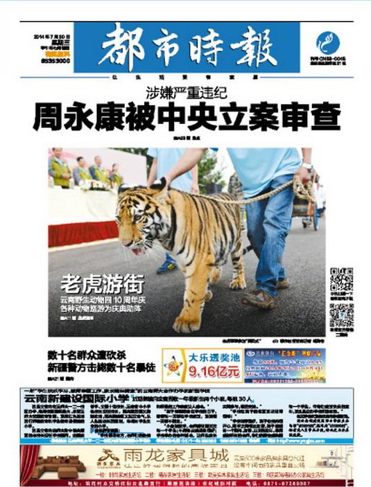 反腐风暴持续发酵：最新通报释放什么信号